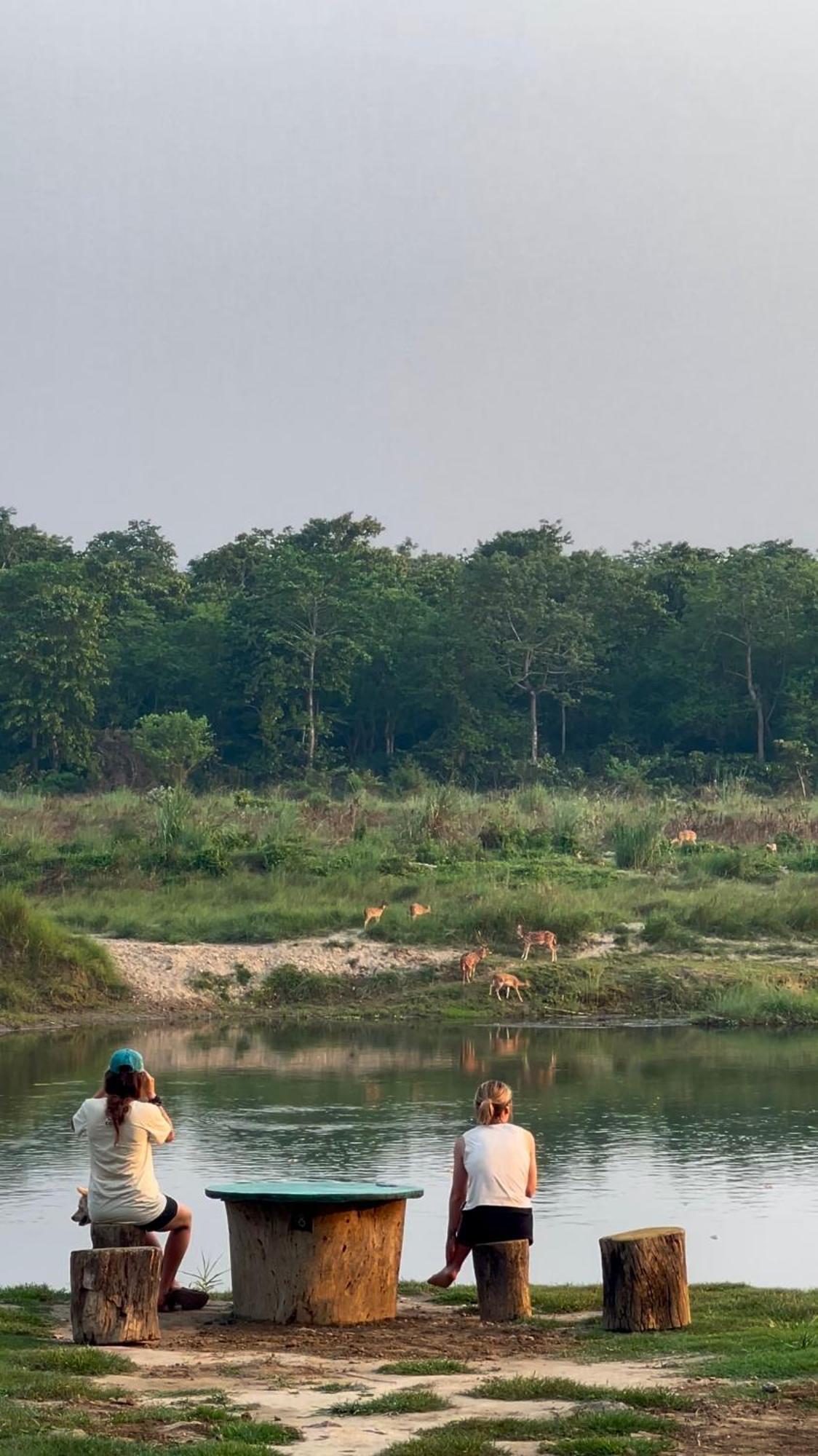 Bamby Chilling House - Feel The Nature Sauraha Exterior foto